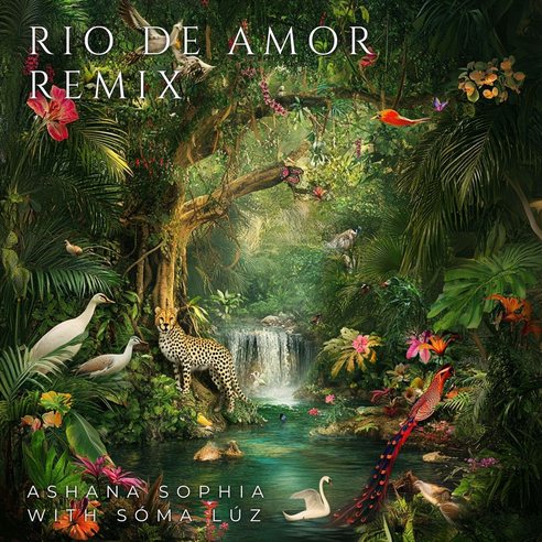 Rio de Amor Remix cover, a lush jungle collage