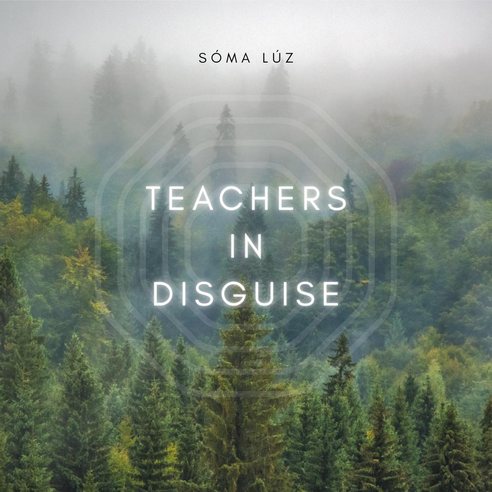 Teachers in Disguise cover, a misty forest